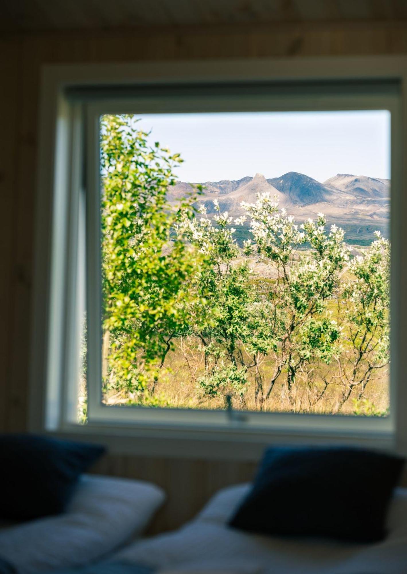 Mithhraun - Lava Resort Midhraun Екстериор снимка